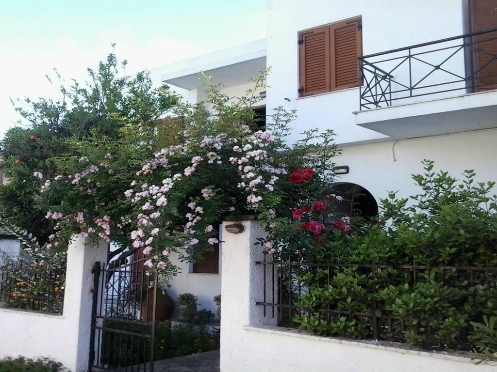 סקופלוס טאון Karagiozos Studios & Apartments מראה חיצוני תמונה