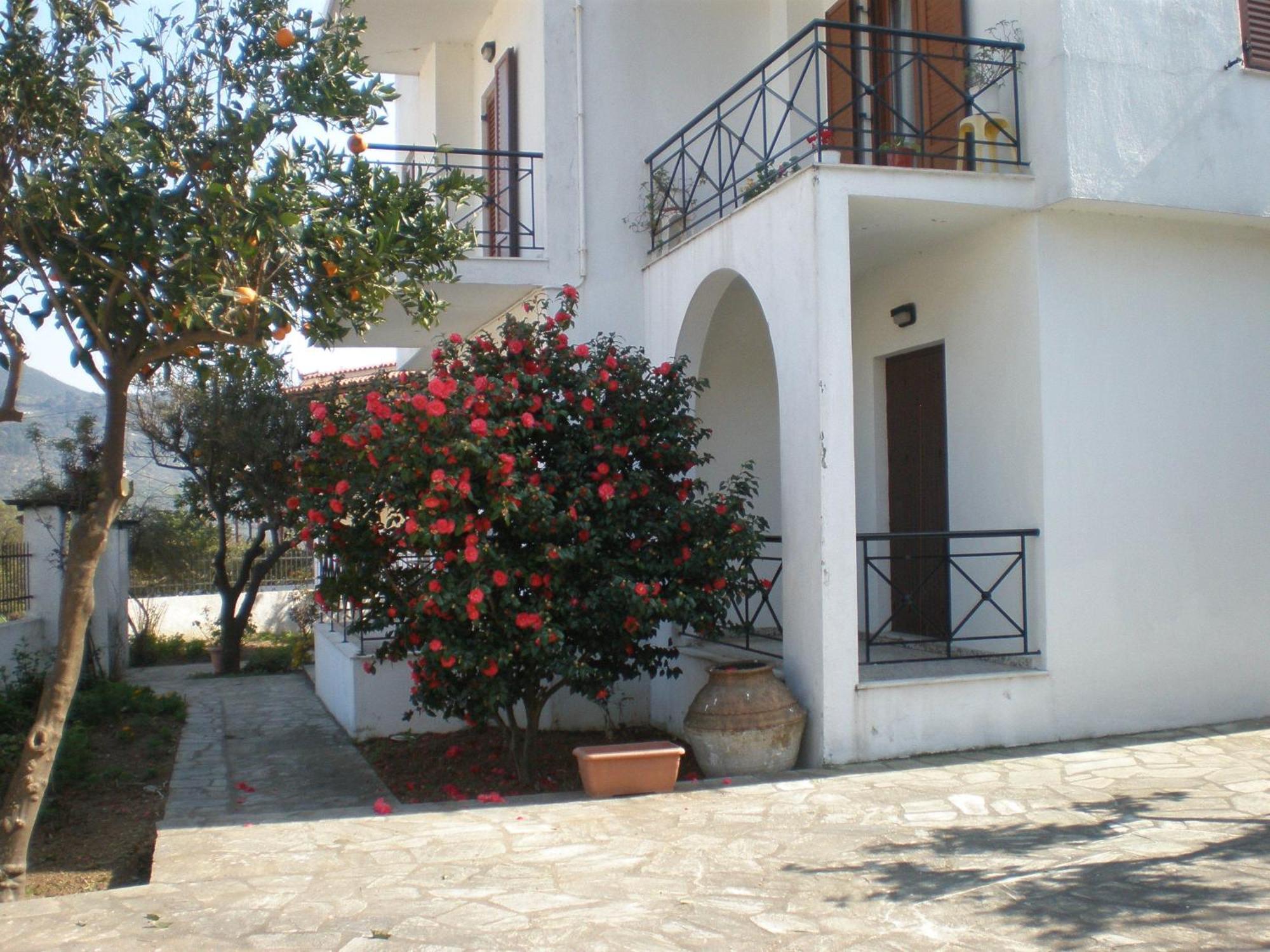 סקופלוס טאון Karagiozos Studios & Apartments מראה חיצוני תמונה