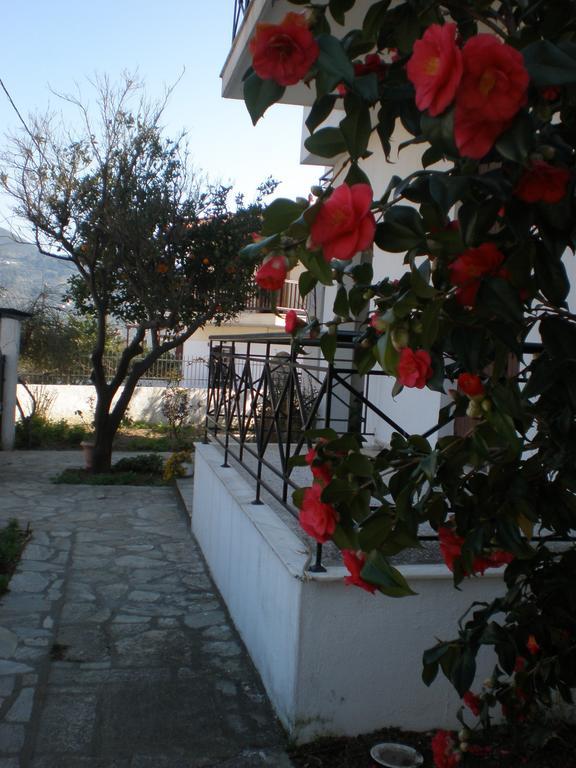 סקופלוס טאון Karagiozos Studios & Apartments חדר תמונה